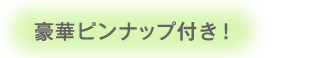 豪華ピンナップ付き！