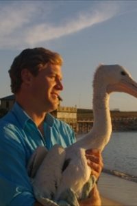 「ボンダイビーチ動物病院」