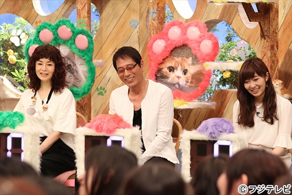 フォトギャラリー 稲垣吾郎 佐藤健ら猫好き芸能人が集結 Smap Smap 猫スペシャル5 23放送 Tvlife Web テレビがもっと楽しくなる