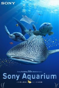 『Sony Building 50th Anniversary 「Sony Aquarium」』