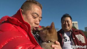 『爆笑もしものワンニャン生活～芸能人がペットを飼ったらこうなった～』