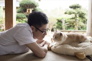 映画「ねこあつめの家」