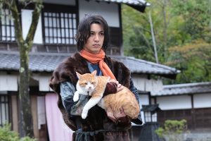 映画「猫忍」