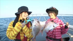 『D-Girls』