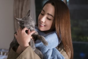 映画『猫は抱くもの』