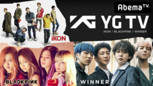 『YG TV』