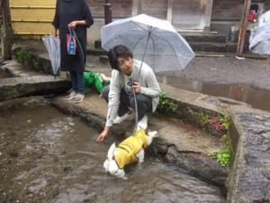 『もふもふモフモフ』