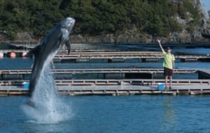 『ボクはボク、クジラはクジラで、泳いでいる。』