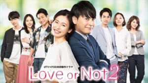 「Love or Not 2」