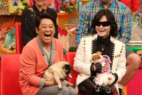 Toshlの愛犬 にゃんたろう がテレビ初登場 坂上どうぶつ王国 10 19放送 Tv Life Web