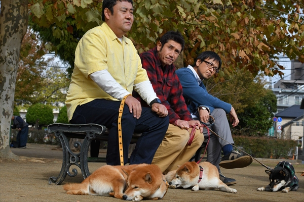 「柴公園」