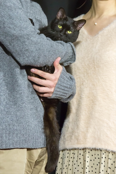 捨て猫に拾われた男 Tv Life Web 捨て猫に拾われた男 Tv Life Web