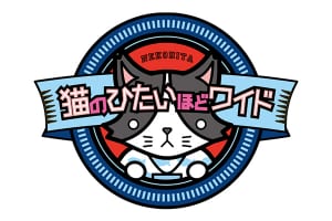 『猫のひたいほどワイド』