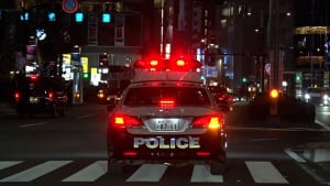 『逮捕の瞬間！警察24時』