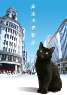 『銀座黒猫物語』