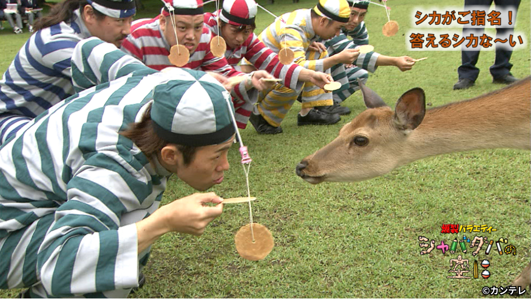 シャバダバの空に