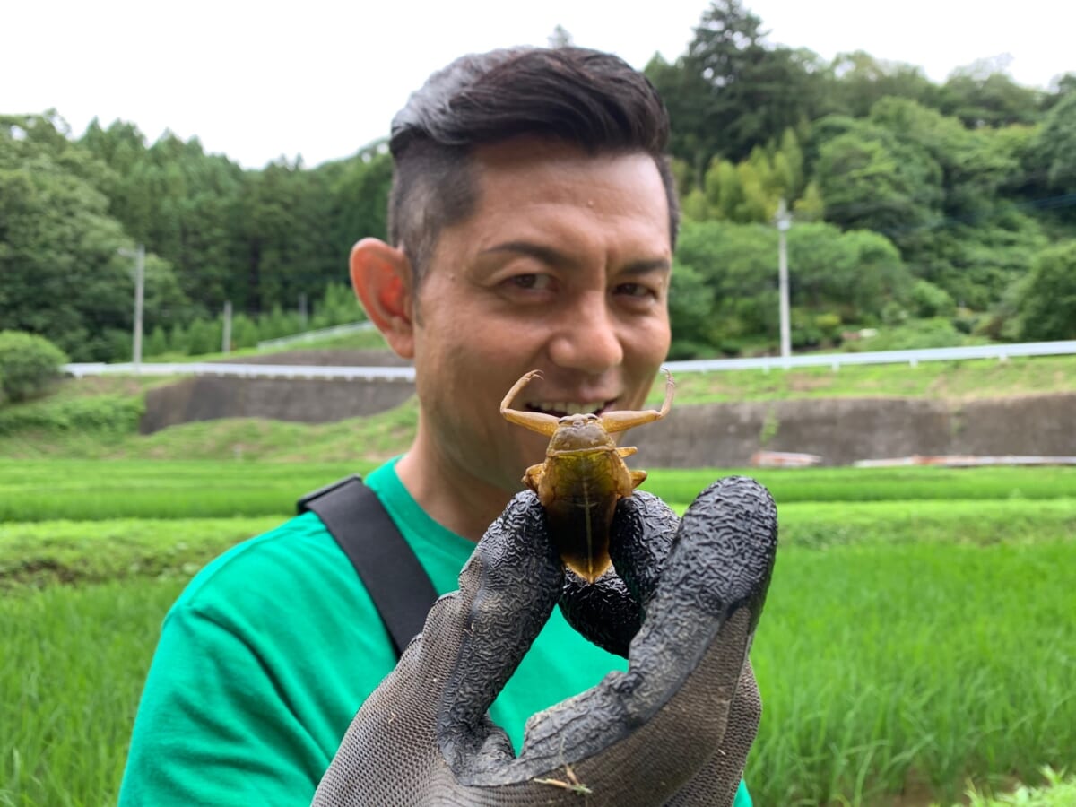 池の水