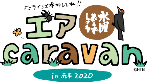 「水曜どうでしょうエアキャラバン」