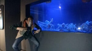 『教えてもらう前と後』