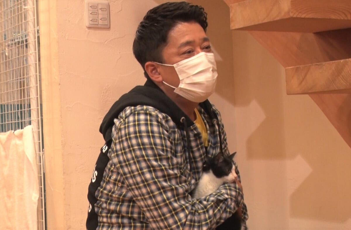 『坂上どうぶつ王国』