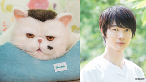 おじさまと猫