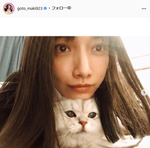 後藤真希 愛猫オウキとのいちゃいちゃ2ショットに ヌコ様になりたい トーテムポール の声 Tv Life Web