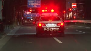 『逮捕の瞬間！警察24時　コロナ時代に闘う！熱き警察官SP』