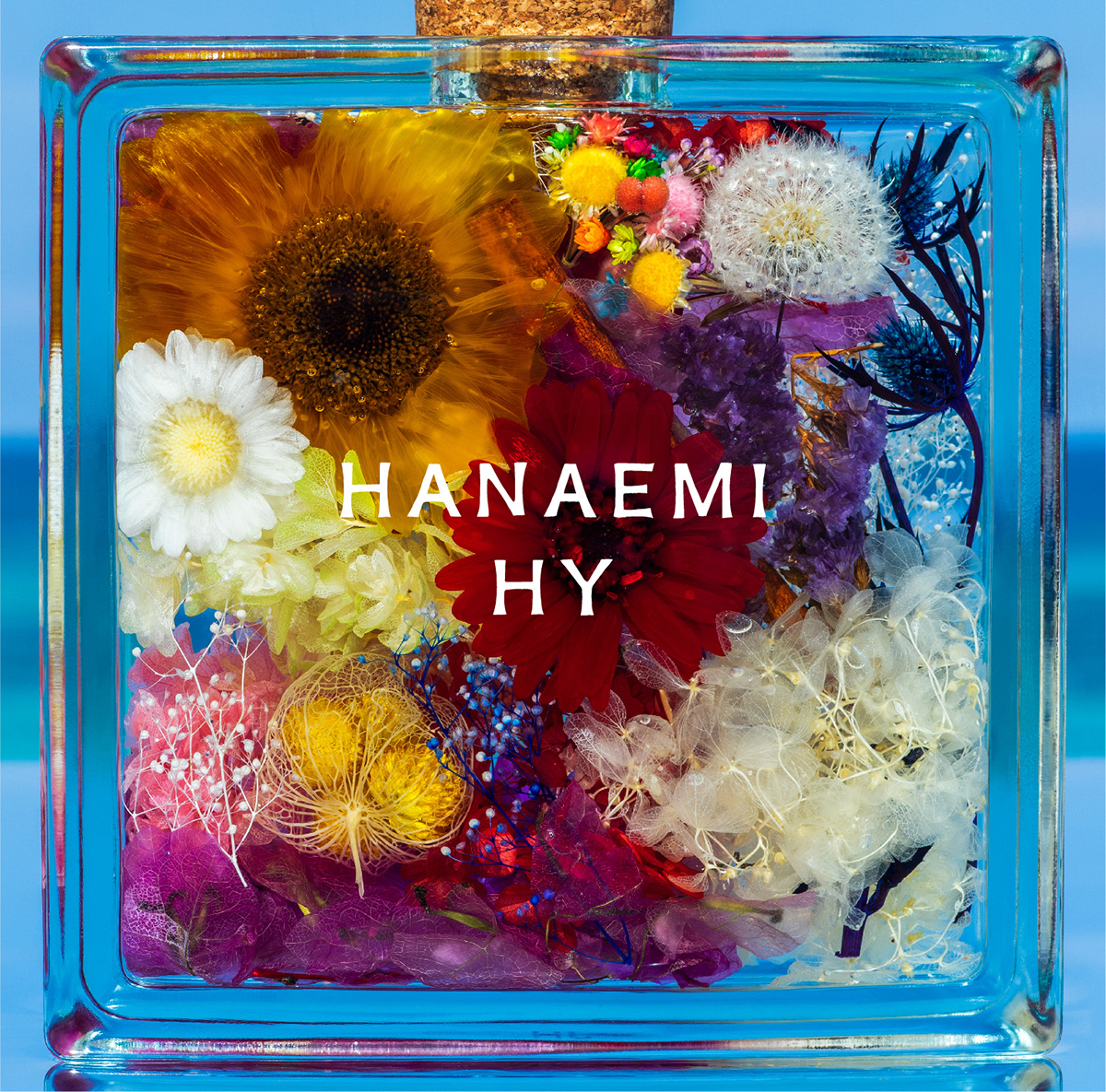 HY 14thオリジナルアルバム「HANAEMI」限定盤