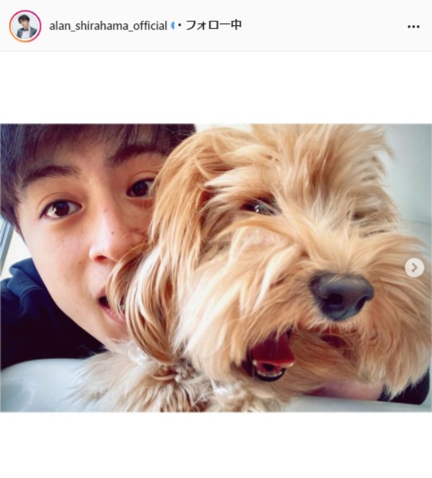 Generations白濱亜嵐 愛犬とのラブラブ2ショットに 癒し かわいい の声 Tv Life Web