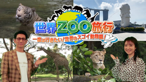 『世界ZOO旅行～一度は行きたい！世界のスゴい動物園～』