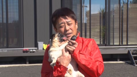 『坂上どうぶつ王国2時間SP』
