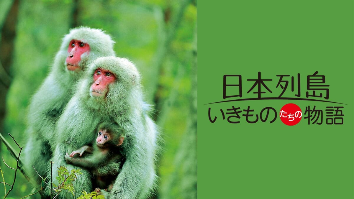 「日本列島　いきものたちの物語」