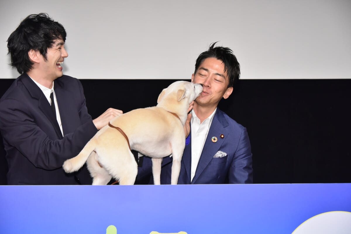 映画「犬部！」ティーチインイベント