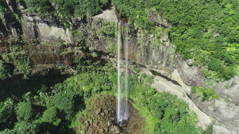 西表島のピナイサーラの滝