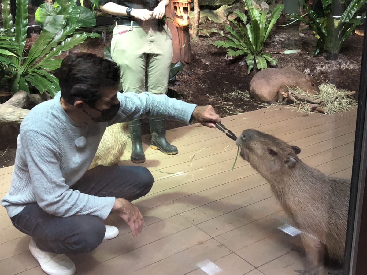 『ガレッジセールのオリタラドコ旅』