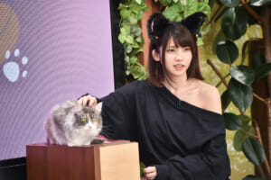 えなこ×さらば青春の光・森田の“猫特化型バラエティ”番組がスタート！