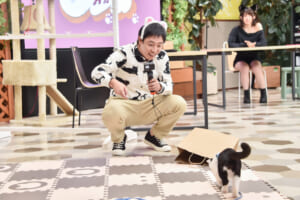 えなこ×さらば青春の光・森田の“猫特化型バラエティ”番組がスタート！
