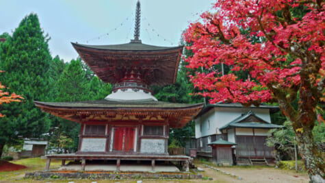 紅葉の中にたたずむ金剛三昧院の多宝塔