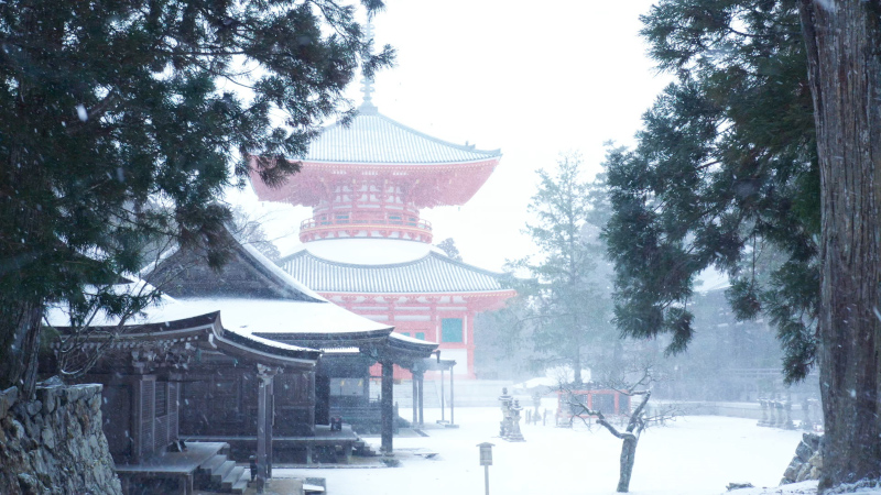 冬の根本大塔