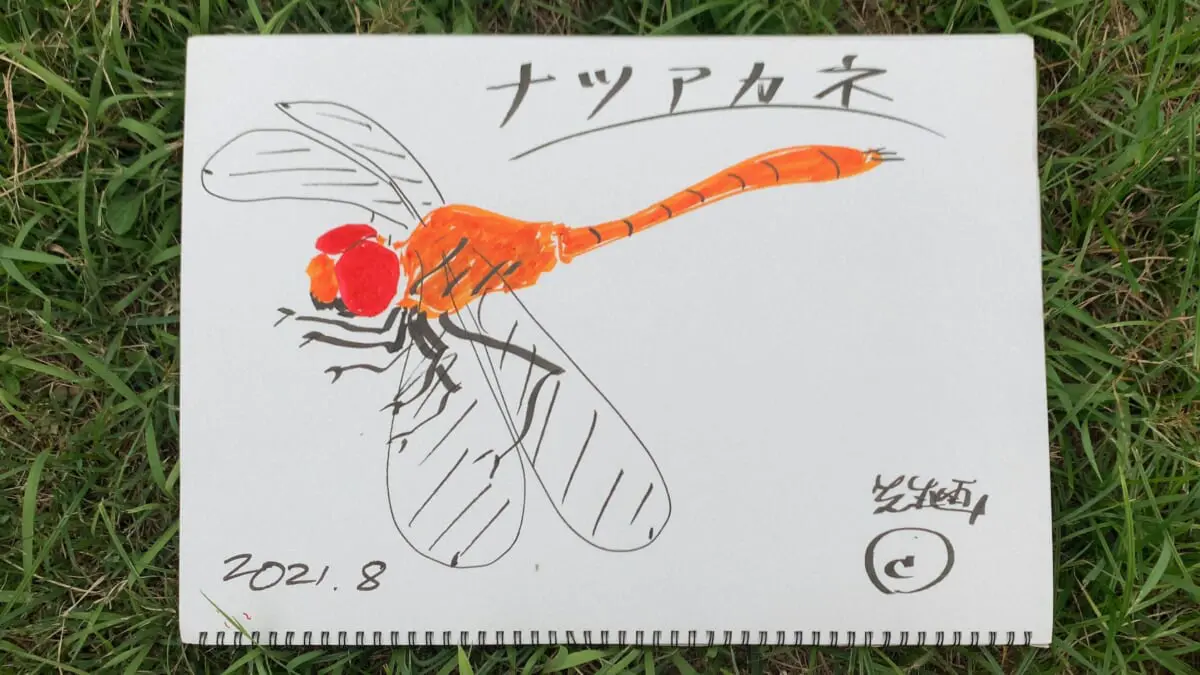香川照之の昆虫すごいぜ 新作は 赤とんぼ カマキリ先生が寺田心 エビ中 安本彩花に熱い授業 Tv Life Web