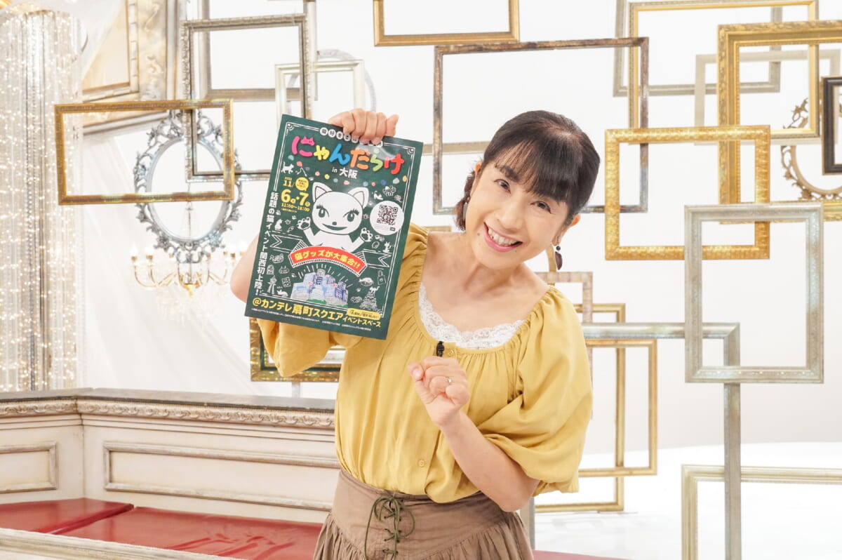 にゃんだらけ