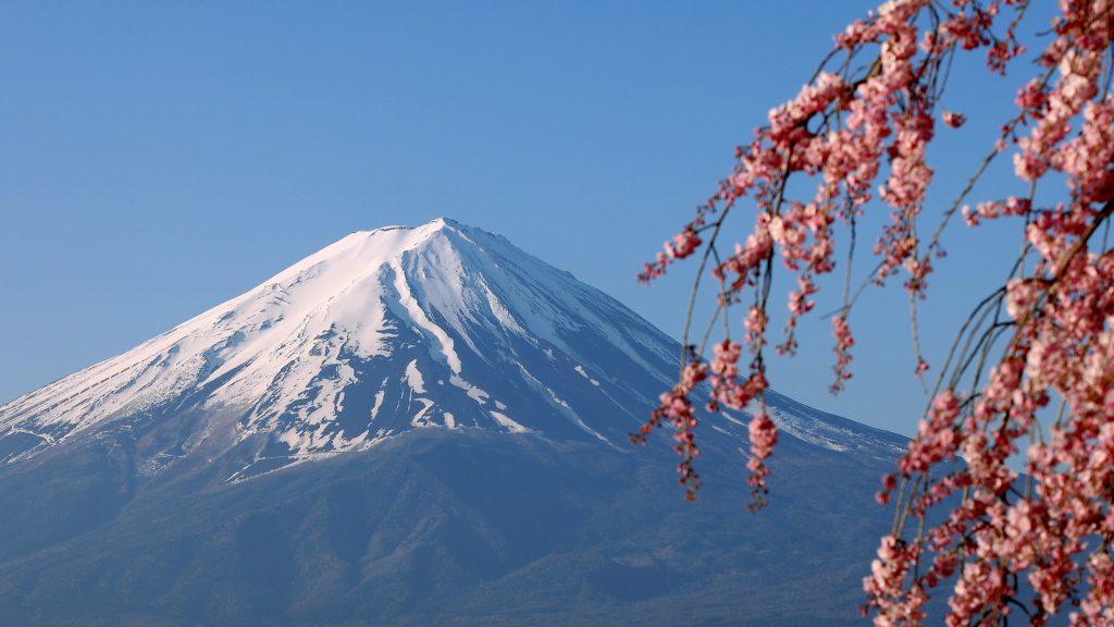 雪化粧を装う富士山と桜