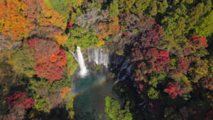 秋の絶景で知られる富士宮市の「白糸の滝」