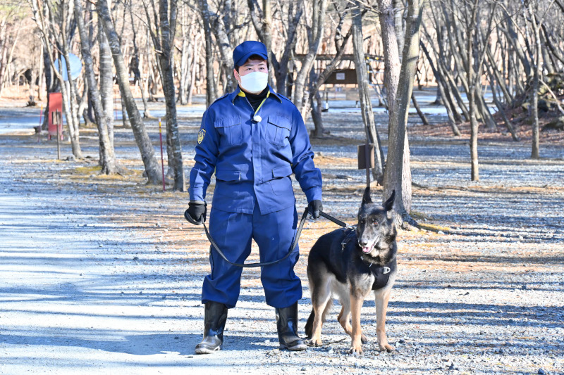 『天才vs大群』「警察犬vsサバイバル芸能人」ハリセンボンの近藤春菜と天才警察犬