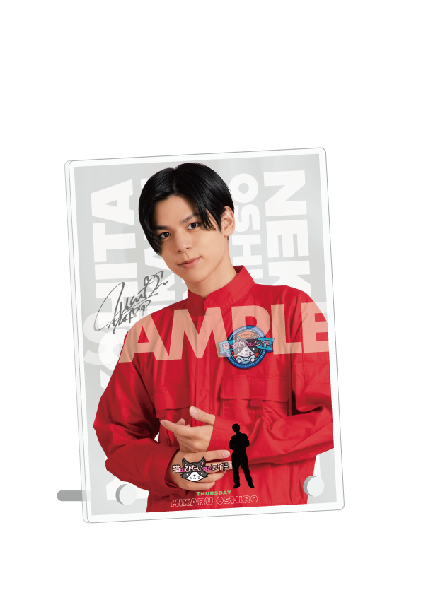 猫ひた 目覚まし時計 井上正大さん 予約販売本 www.baumarkt-vogl.at