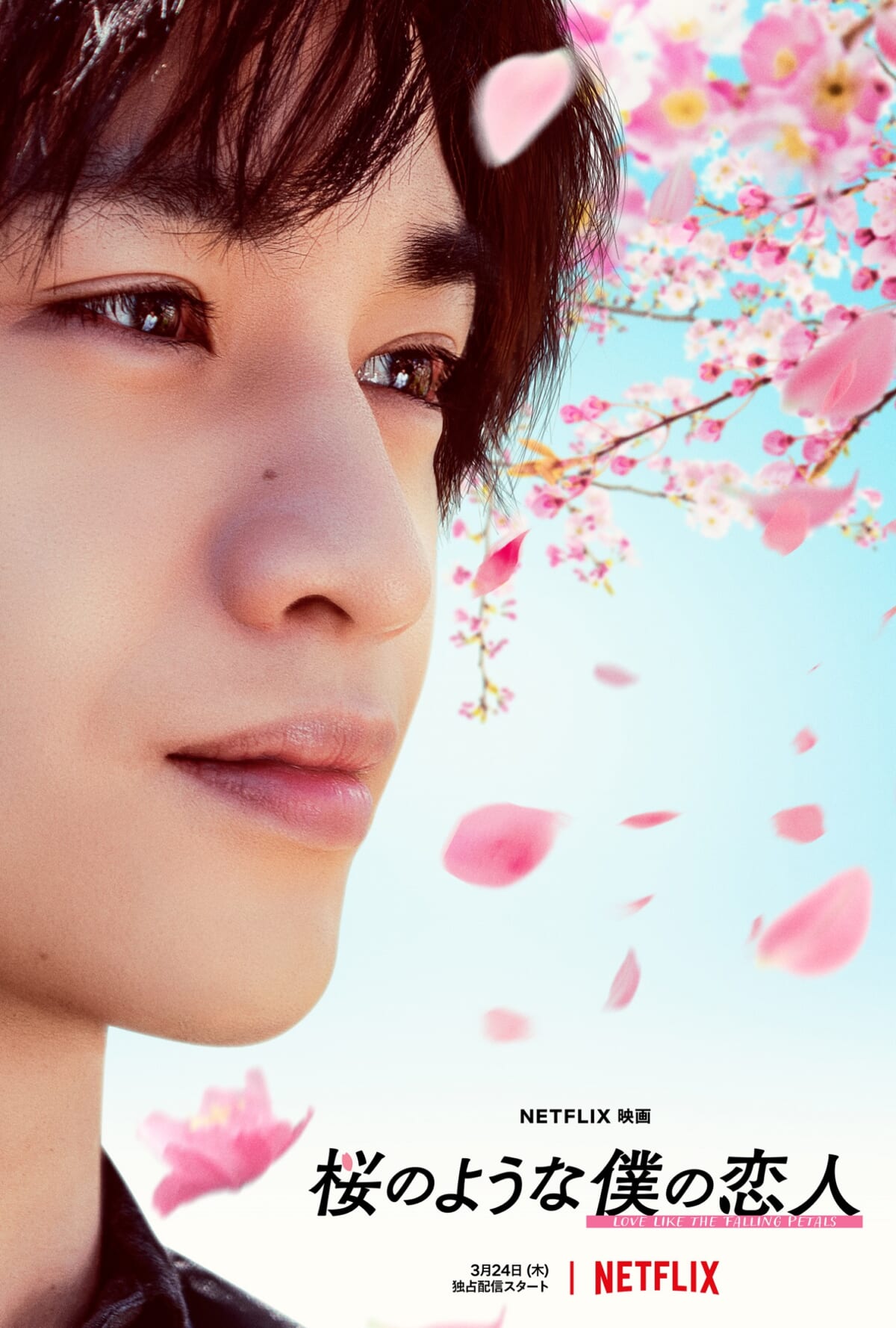 Netflix映画「桜のような僕の恋人」