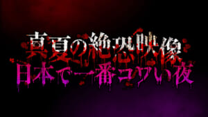 『真夏の絶恐映像 日本で一番コワい夜』