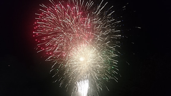 『隅田川花火大会 特別編』