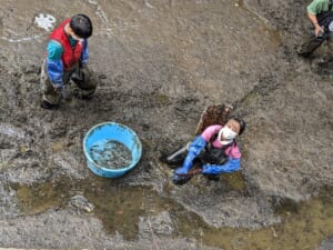 『緊急SOS！池の水ぜんぶ抜く大作戦』