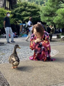 『最高のオバハン中島ハルコ』